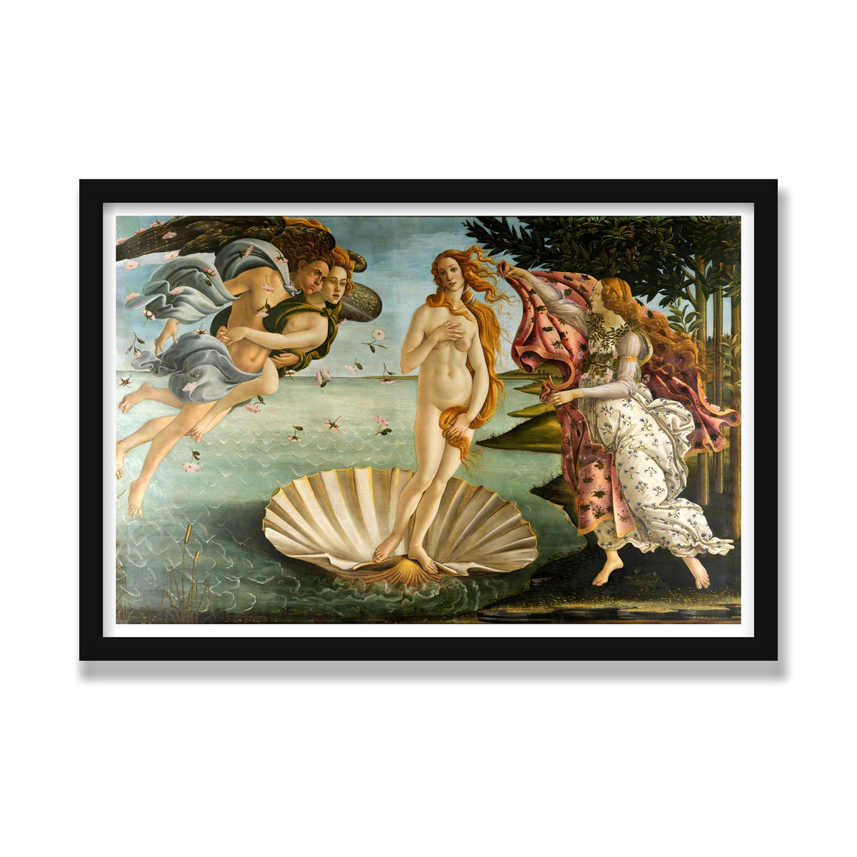 The Birth of Venus, 16 × 24 in, Black Satin frame