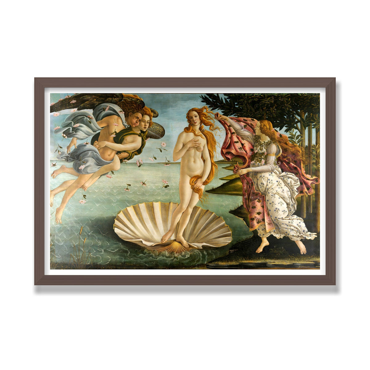 The Birth of Venus, 16 × 24 in, Walnut frame