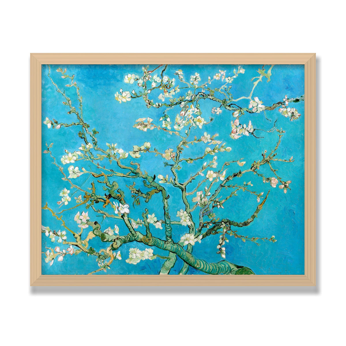 Almond Blossom, 16 × 20 in, Natural Oak frame