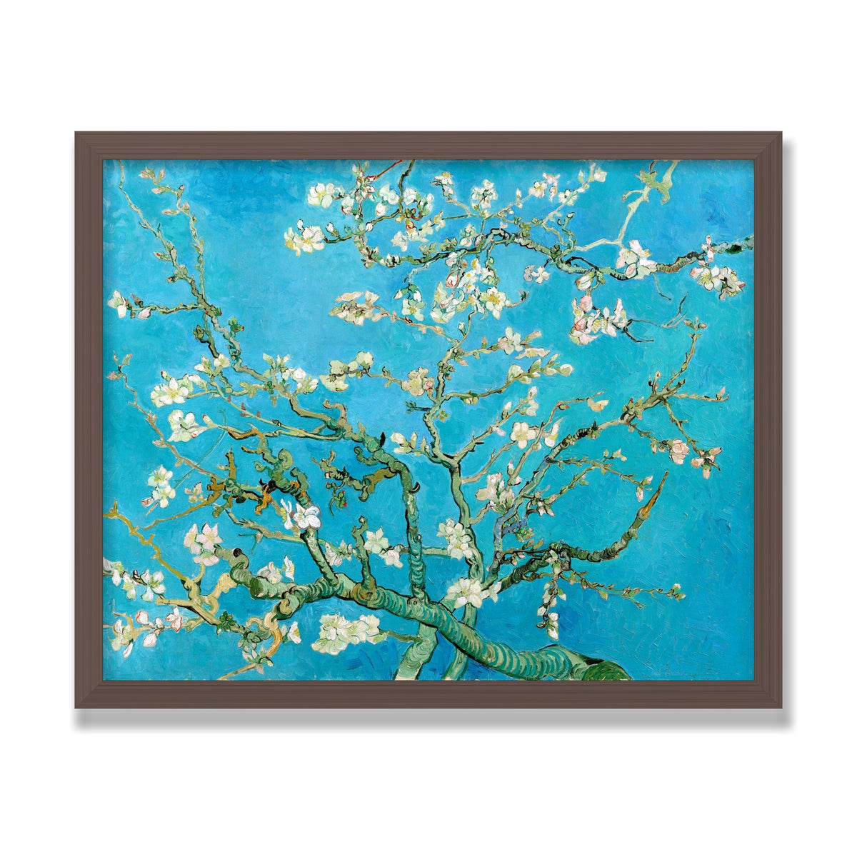 Almond Blossom, 16 × 20 in, Walnut frame