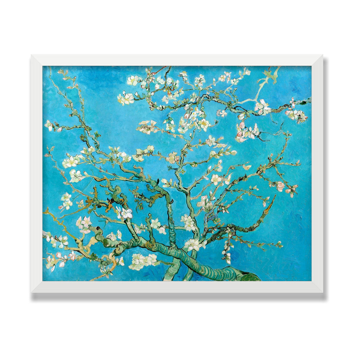 Almond Blossom, 16 × 20 in, White Satin frame