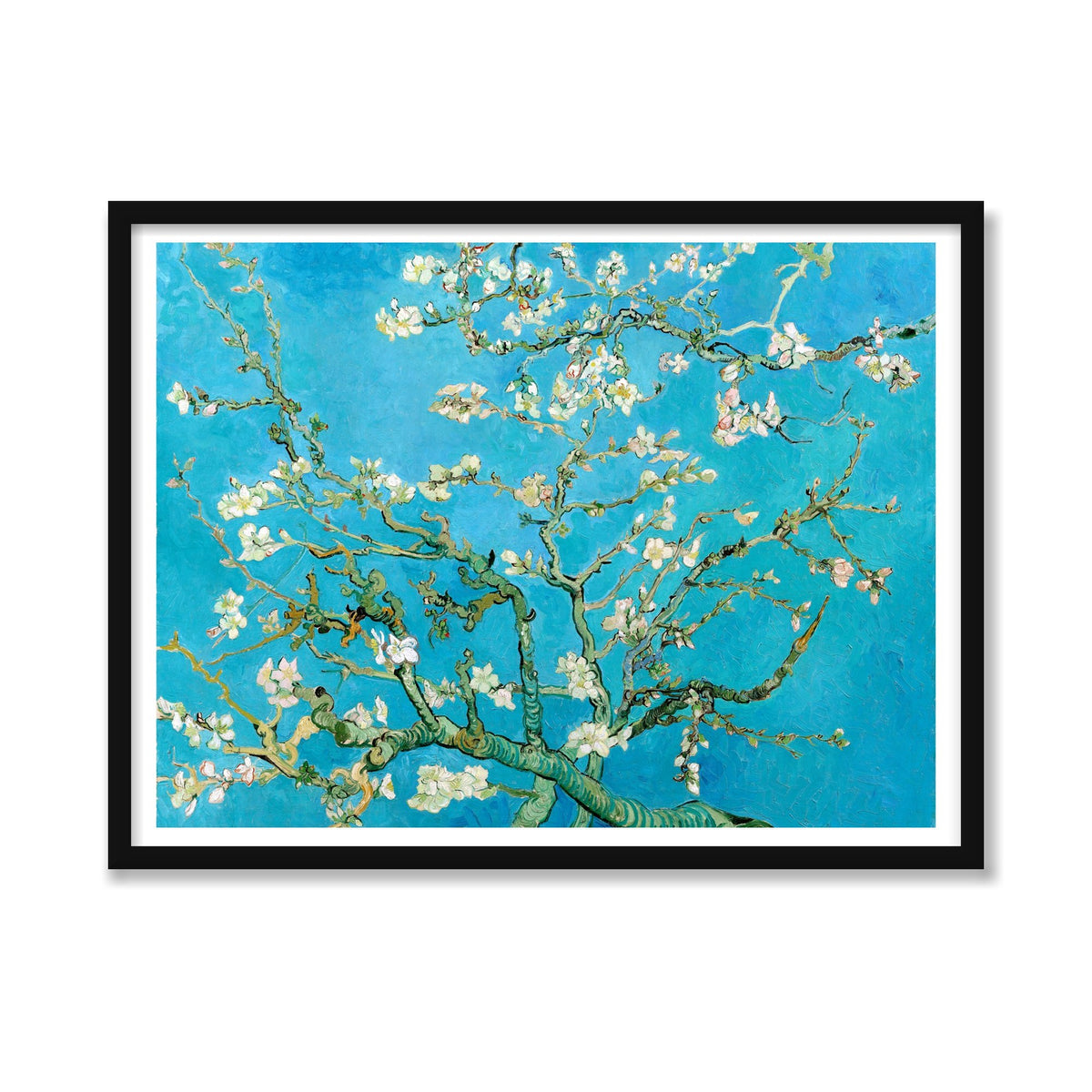 Almond Blossom, 24 × 32 in, Black Satin frame
