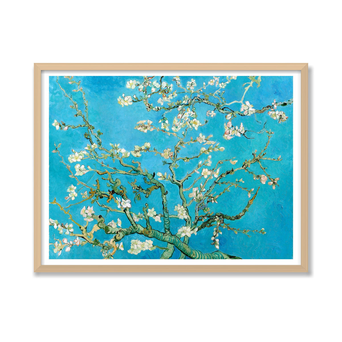 Almond Blossom, 24 × 32 in, Natural Oak frame
