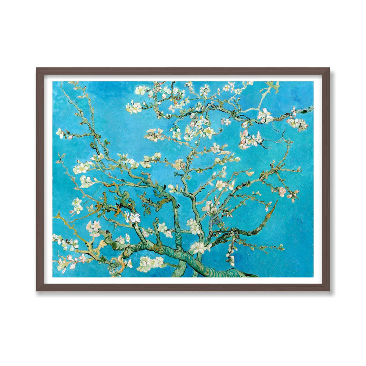 Almond Blossom, 24 × 32 in, Walnut frame