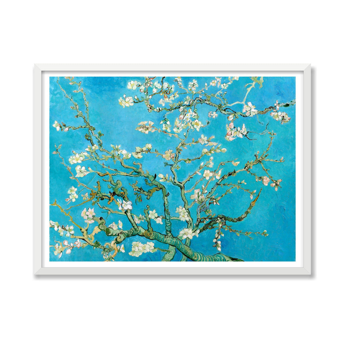 Almond Blossom, 24 × 32 in, White Satin frame
