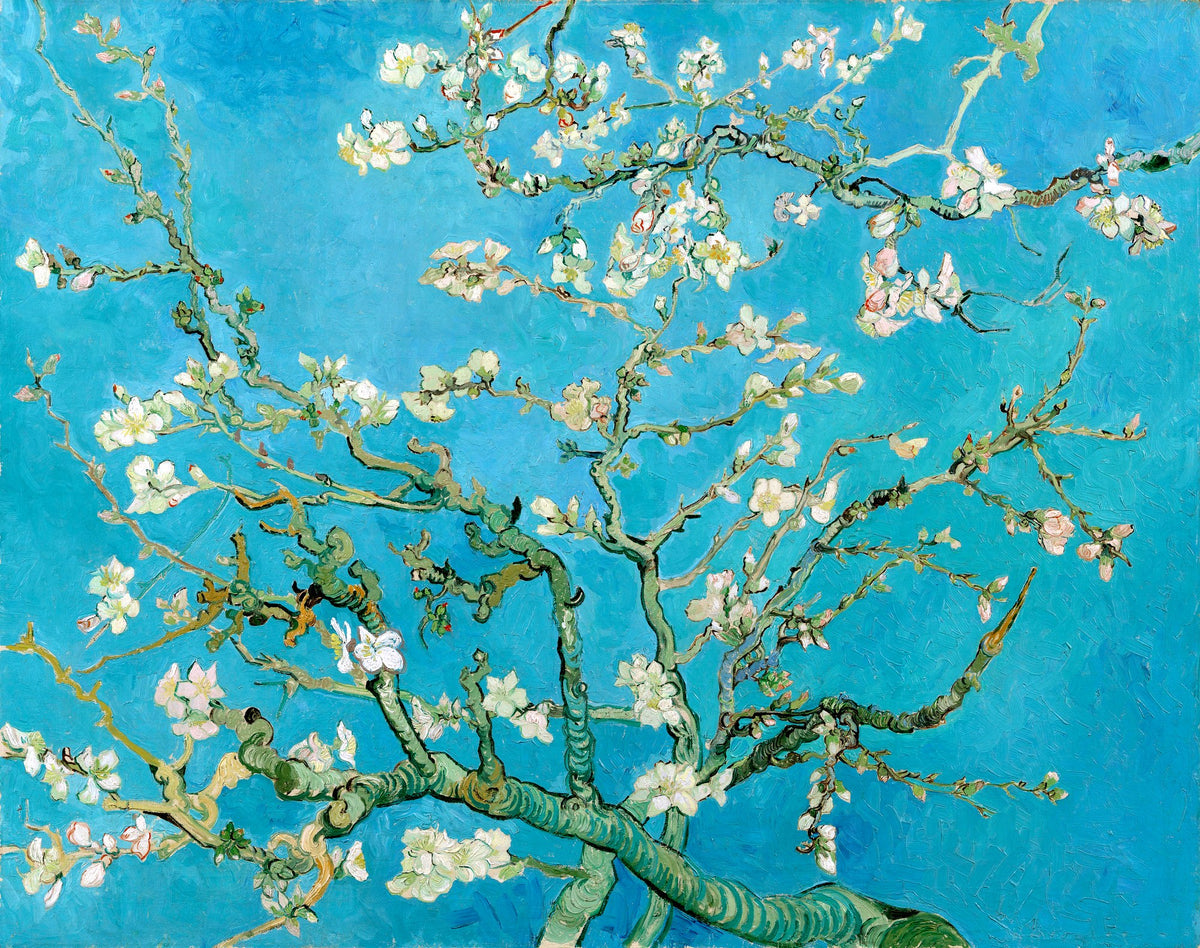 Almond Blossom, unframed artwork