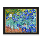 Irises, 12 × 16 in, Black Oak frame