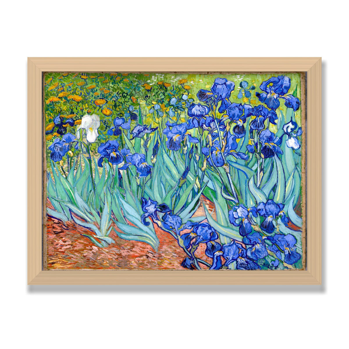 Irises, 12 × 16 in, Natural Oak frame