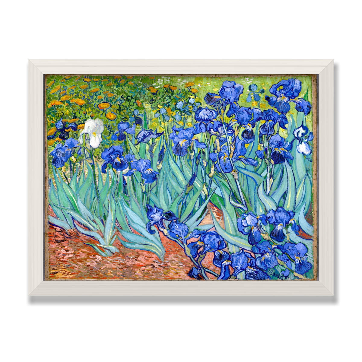 Irises, 12 × 16 in, White Oak frame