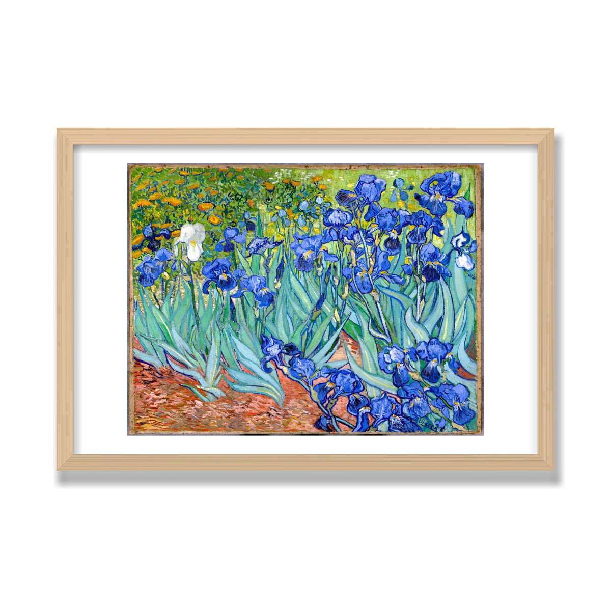 Irises, 16 × 24 in, Natural Oak frame
