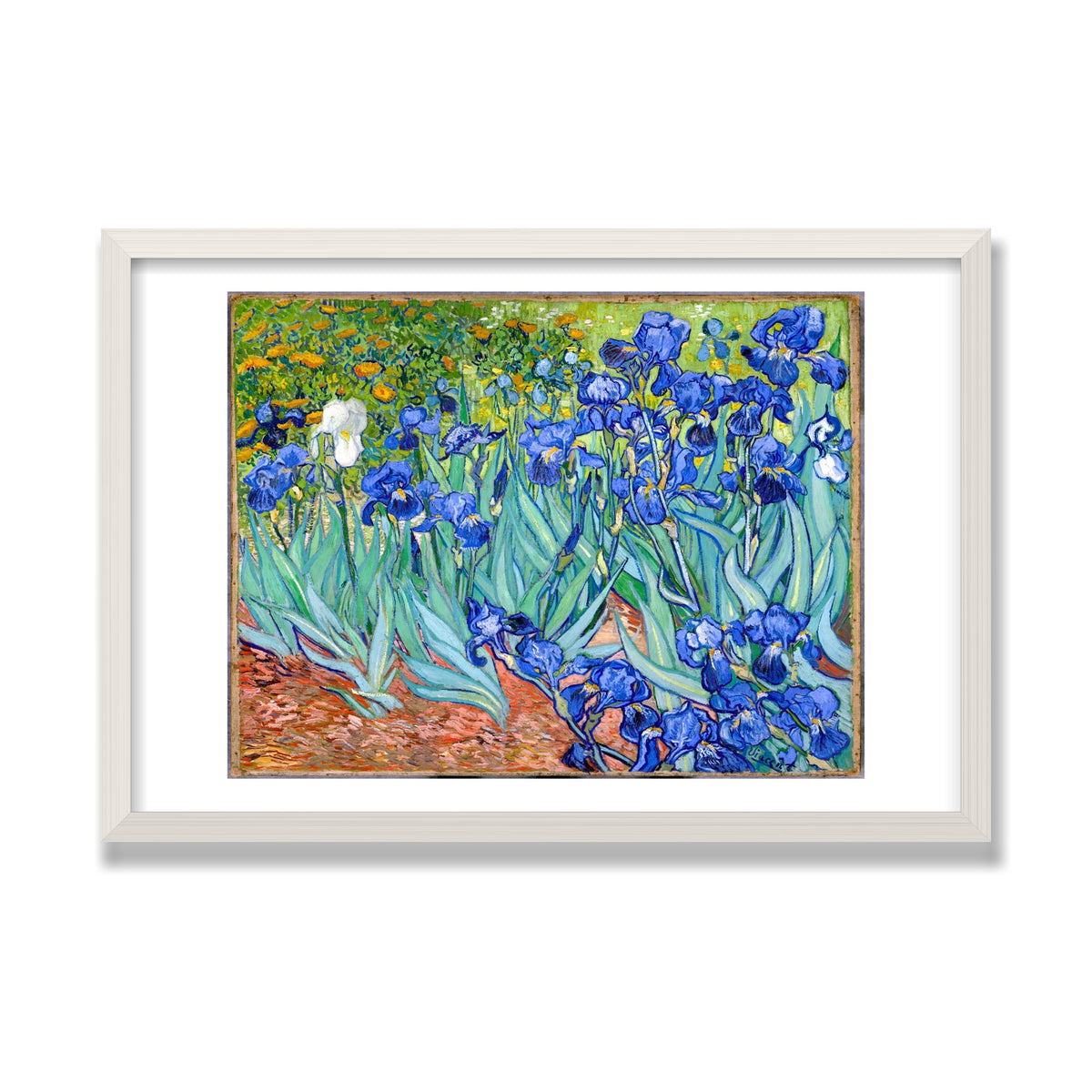 Irises, 16 × 24 in, White Oak frame