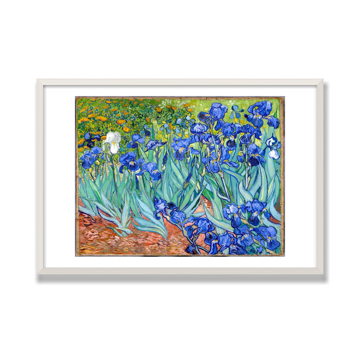 Irises, 24 × 36 in, White Oak frame