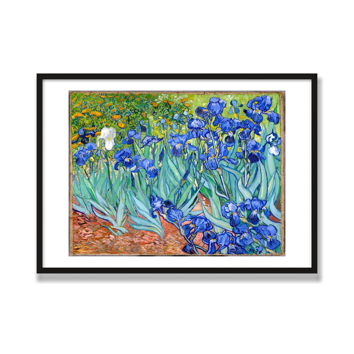 Irises, 28 × 40 in, Black Oak frame