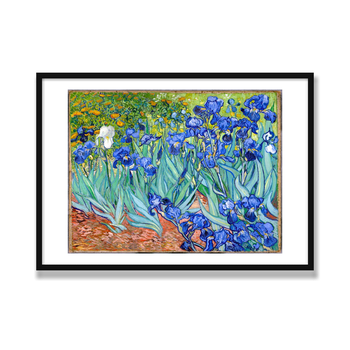 Irises, 28 × 40 in, Black Satin frame