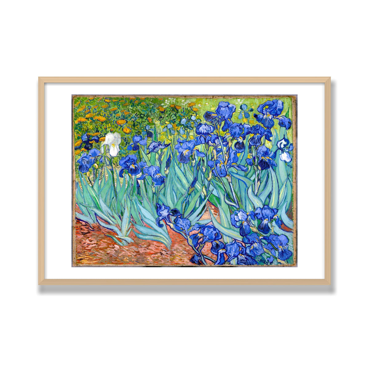 Irises, 28 × 40 in, Natural Oak frame