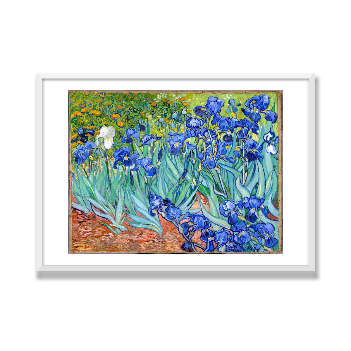 Irises, 28 × 40 in, White Satin frame