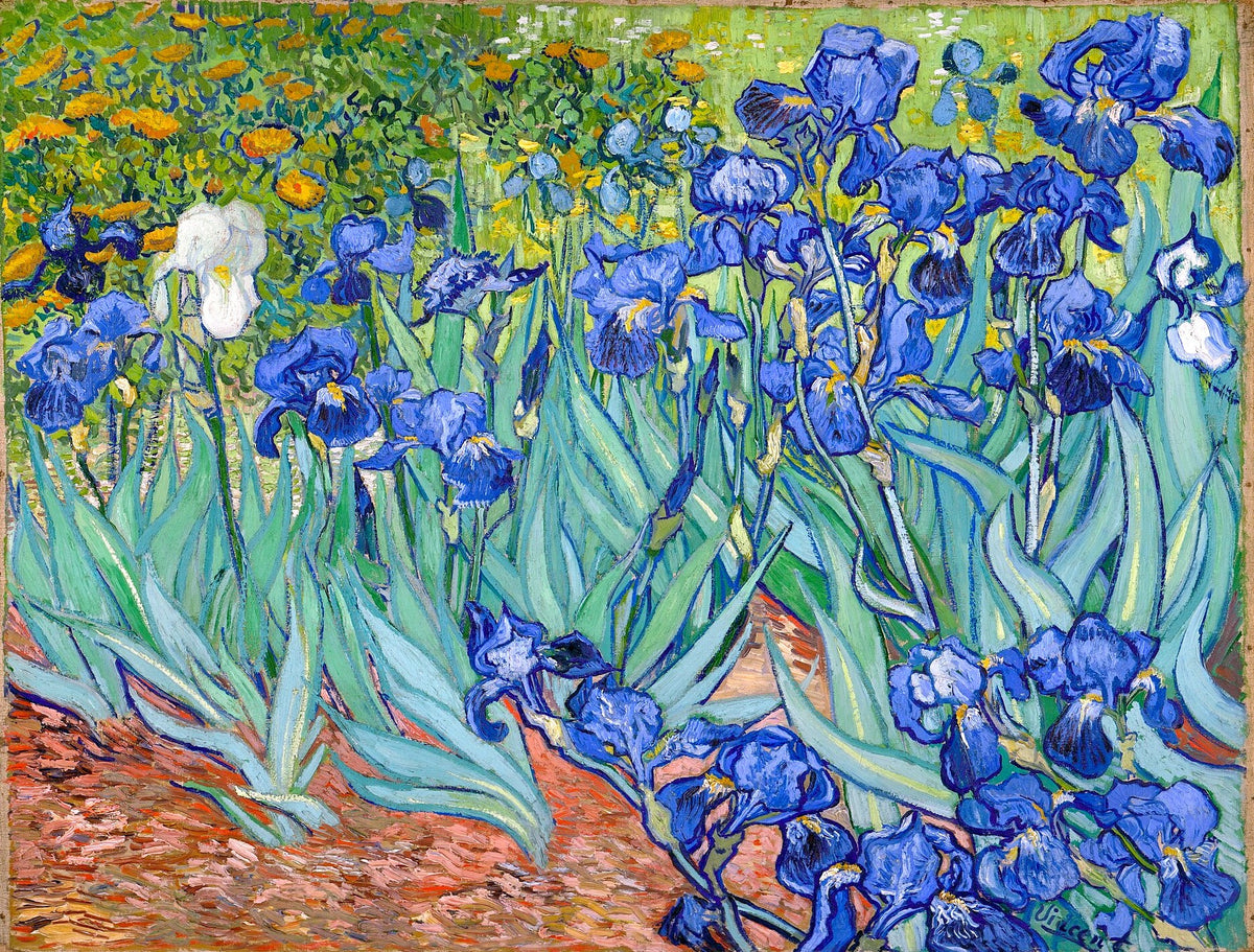 Irises, unframed artwork