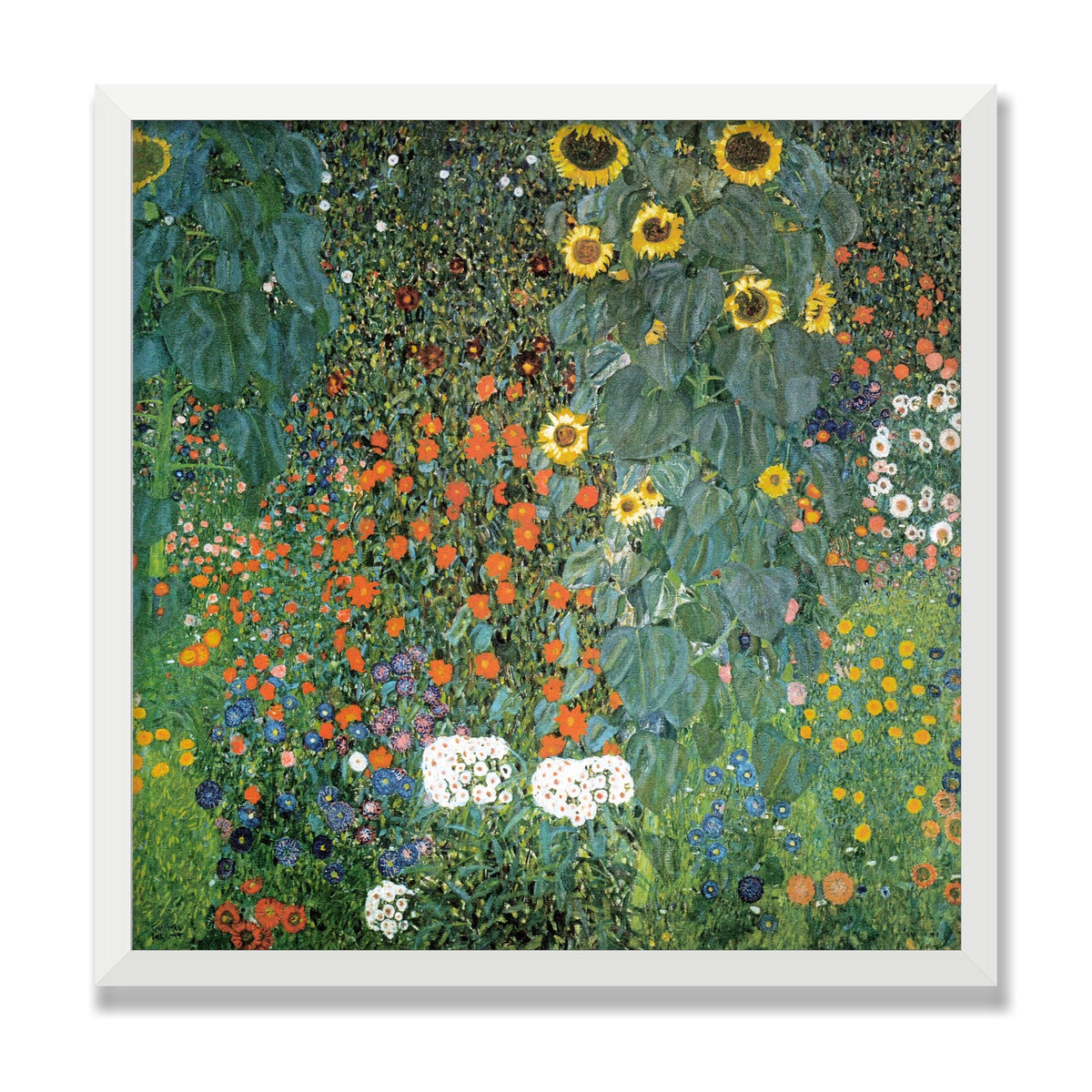 Farm Garden with Sunflowers, 20 × 20 in, White Satin frame