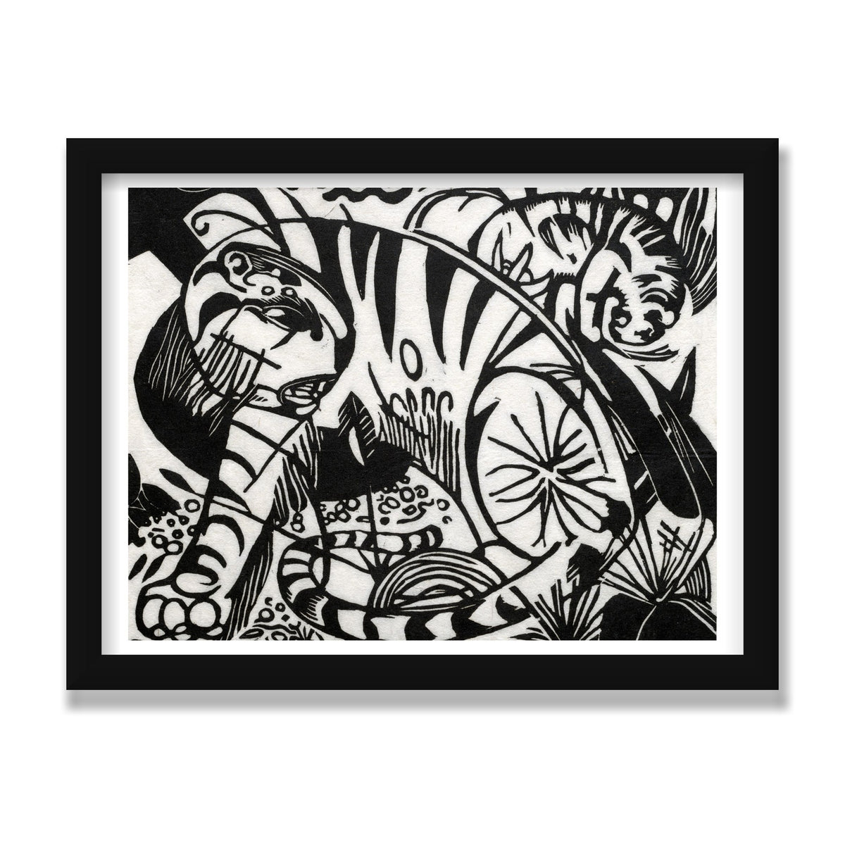 Tiger, 12 × 16 in, Black Satin frame