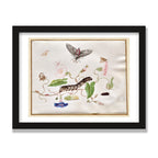 Convolvulus and Hawk Moth, 12 × 16 in, Black Oak frame
