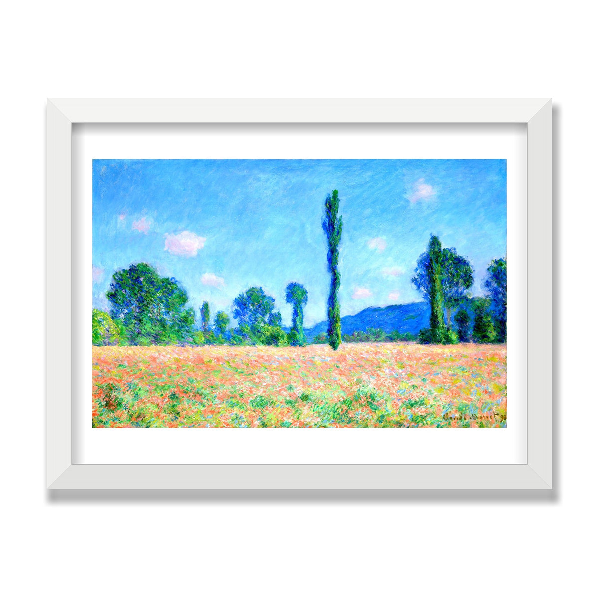 Poppy Field, Giverny, 12 × 16 in, White Satin frame