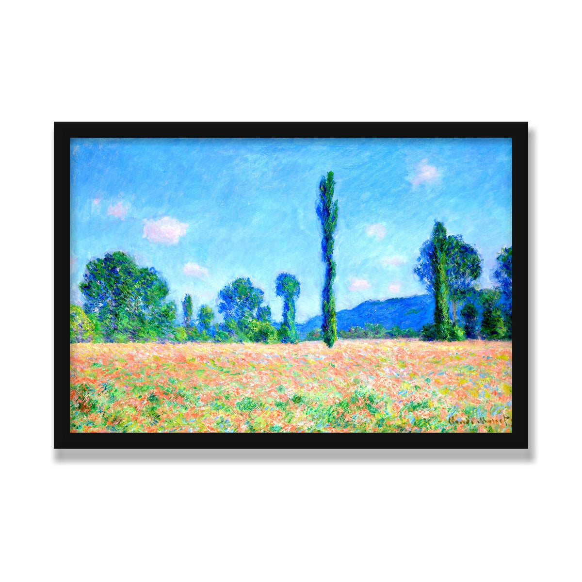 Poppy Field, Giverny, 16 × 24 in, Black Satin frame