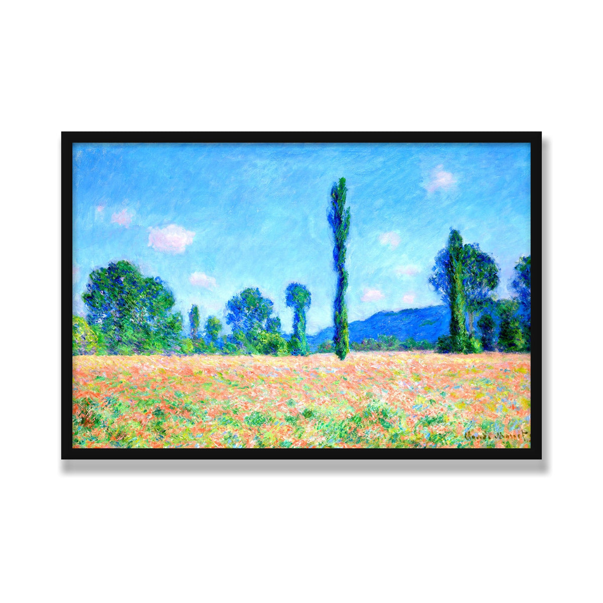 Poppy Field, Giverny, 24 × 36 in, Black Satin frame