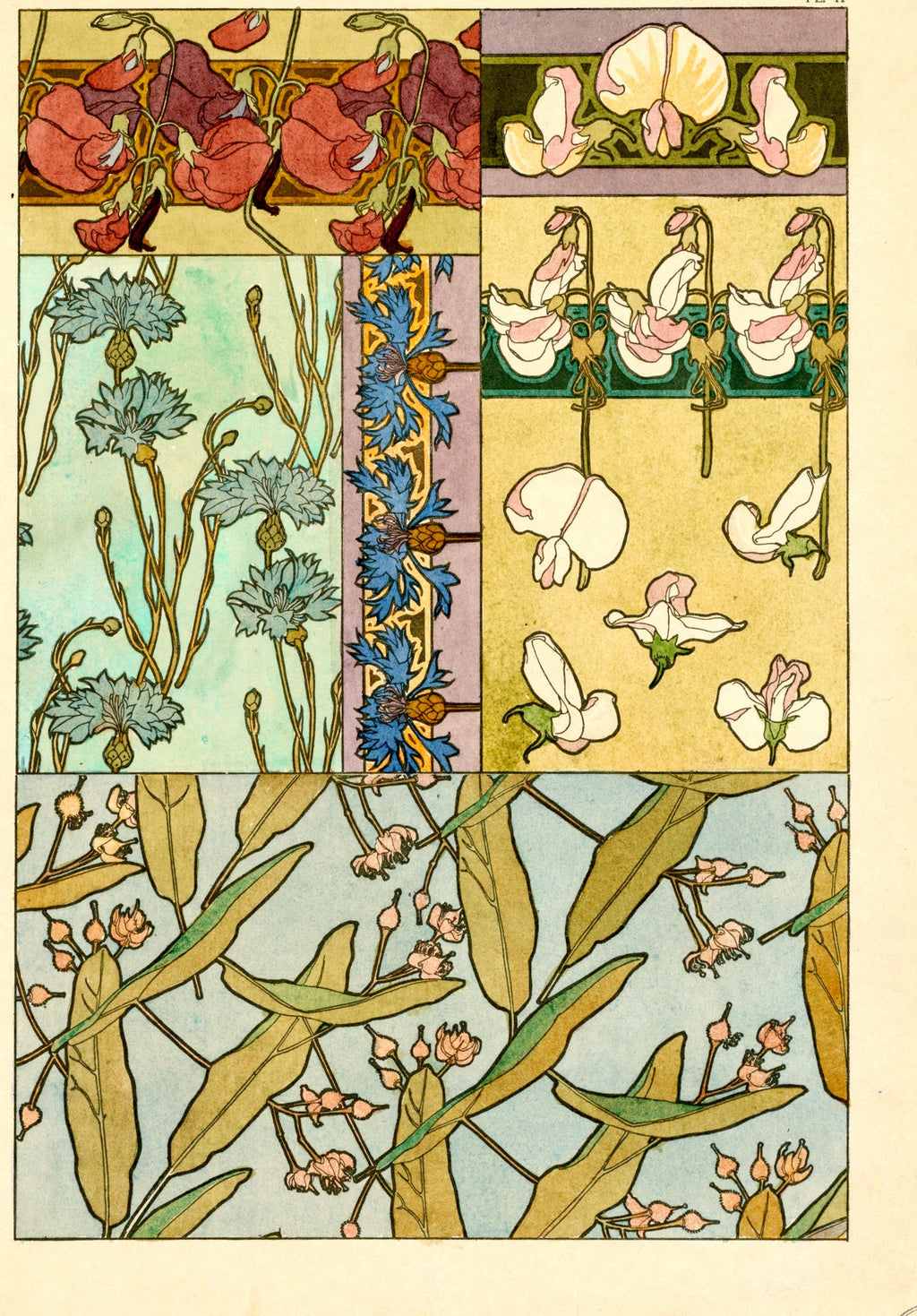 Sweet Peas (Documents Décoratifs), unframed artwork